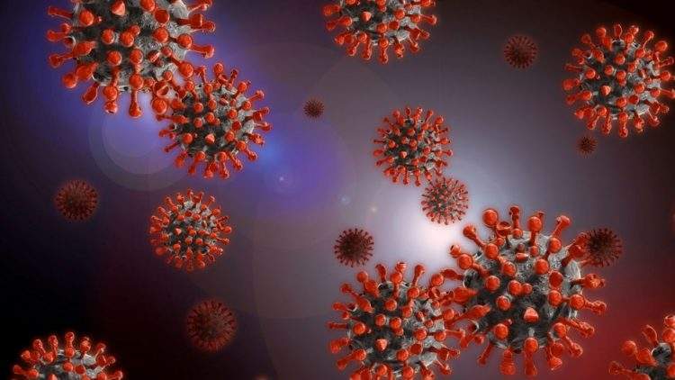 Medidas especiales AFA Villena por la alarma sanitaria